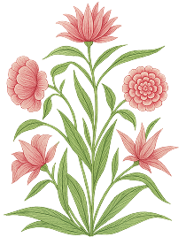 CORAL BLUSH