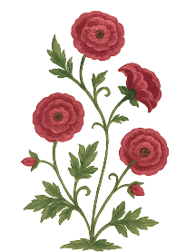 RUBY RED